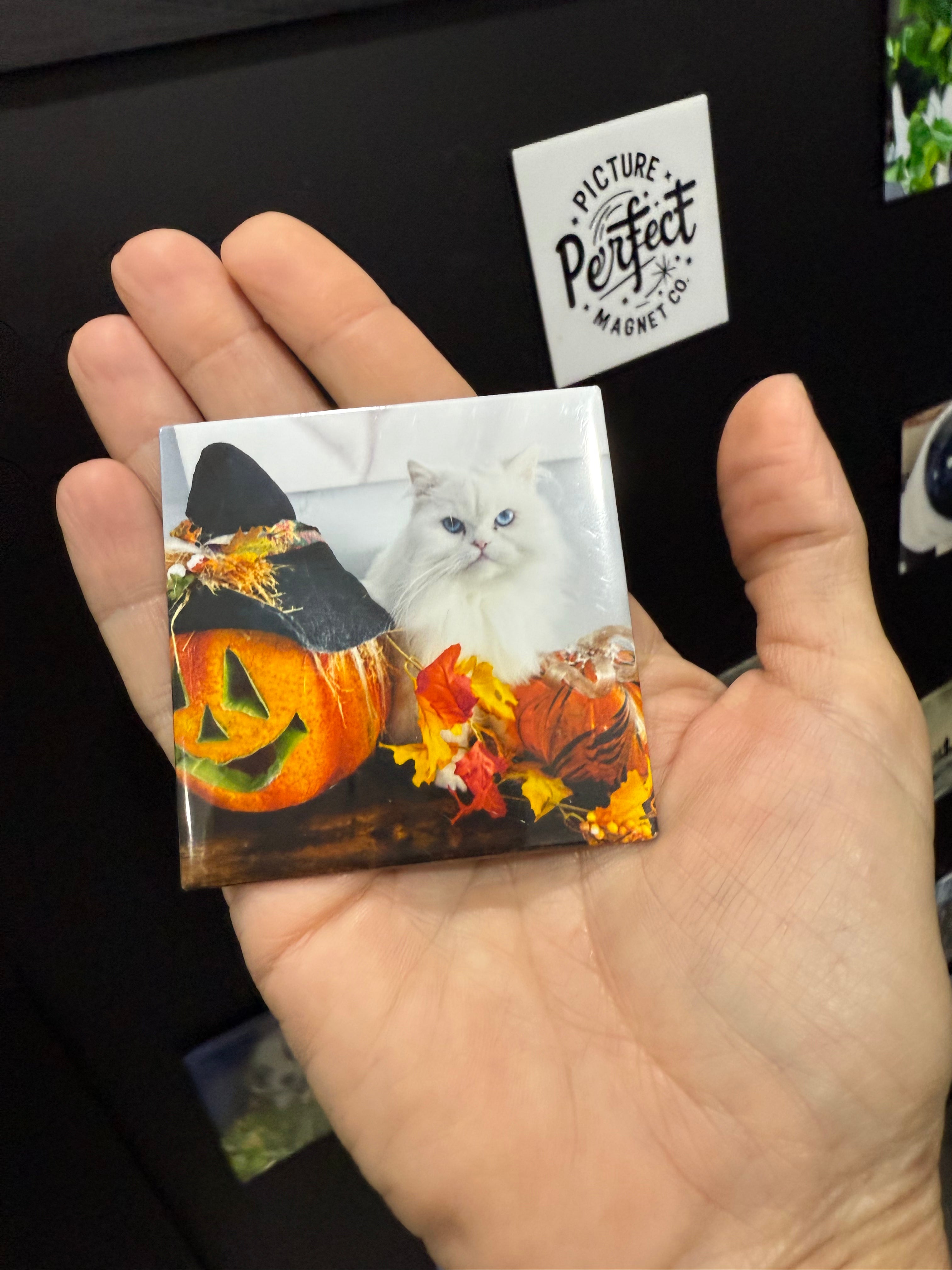 2.5"x2.5" Square Custom Magnets