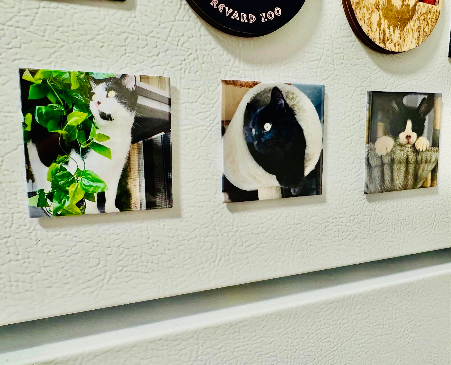 2.5"x2.5" Square Custom Magnets